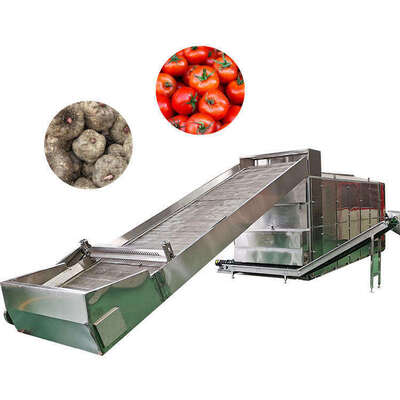 Quality ValuPlus Belt Dryer factory
