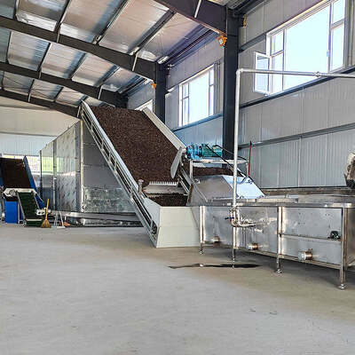 Quality EcoGuard Belt Dryer factory
